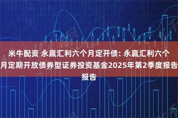 米牛配资 永赢汇利六个月定开债: 永赢汇利六个月定期开放债券型证券投资基金2025年第2季度报告